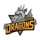 Logo équipe de hockey les dragons de rouen