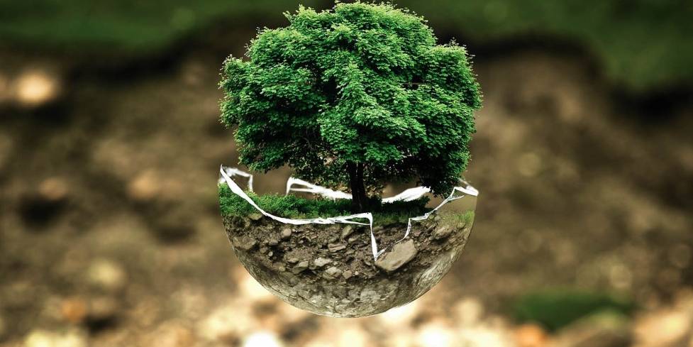 arbre sur une demi sphère de terre